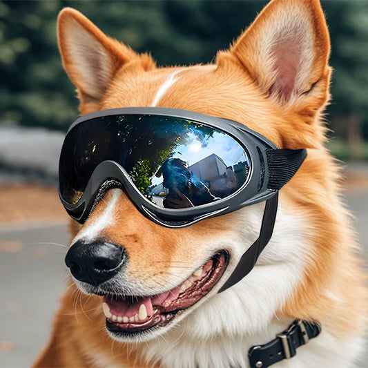 Pet Adjustable Dog Goggles Sunglasses Anti-UV Sun Glasses Eye Wear Protection Black Widely Used Dog Sunglasses Pet Dog Supplies