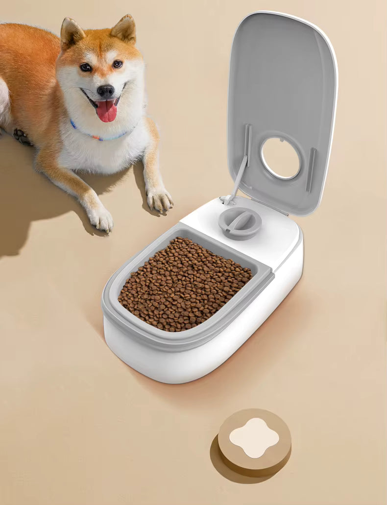 Pet Automatic Timing Feeder Detachable Auto Dog Dry Food Dispenser Smart Pet Food Feeder Timed for Cats Dogs